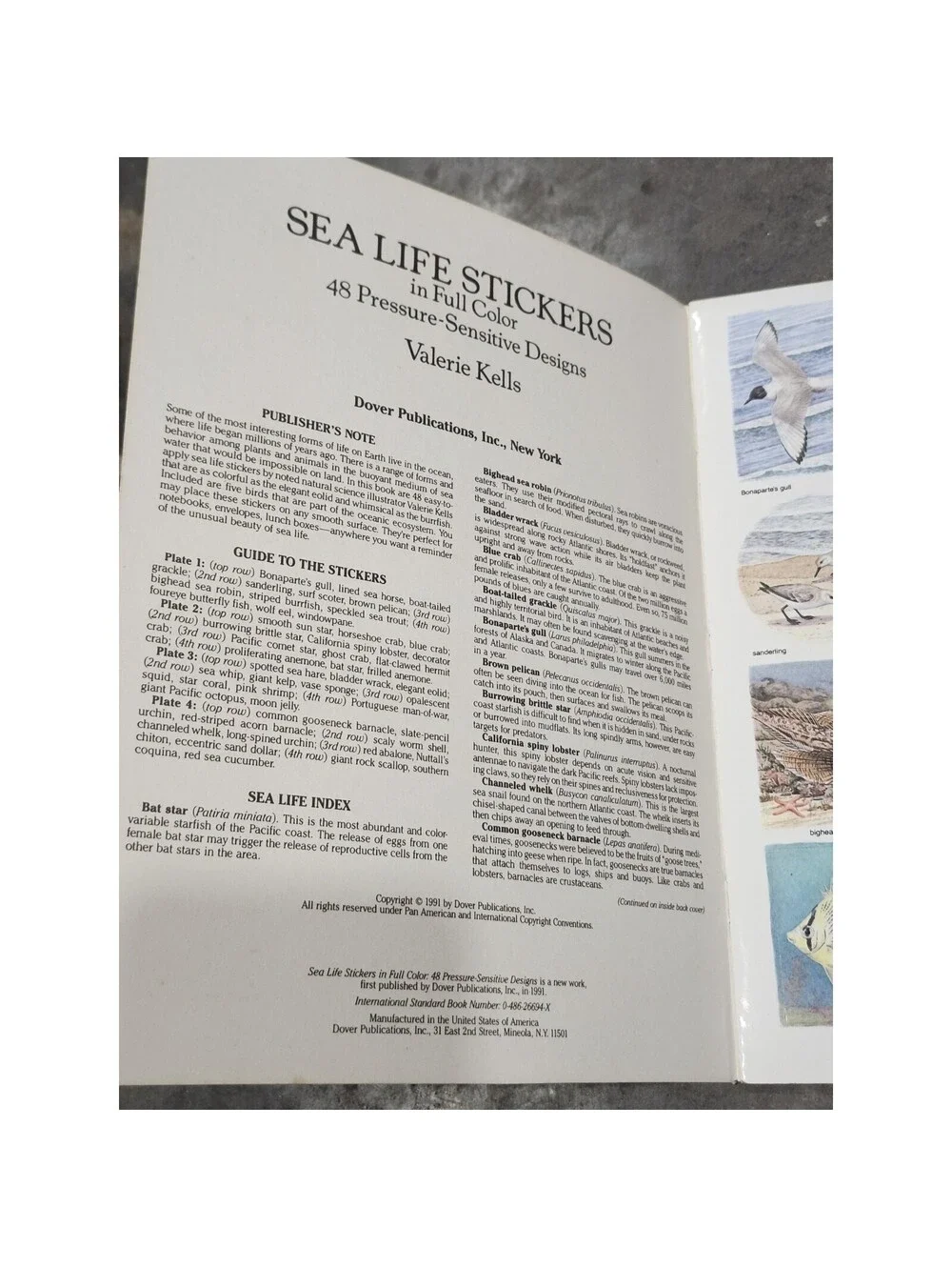 SEA LIFE STICKERS IN FULL COLOR: 48 PRESSURE-SENSITIVE By Valerie Kells